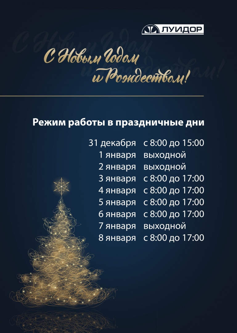 новогодний режимник Нижний Новгород.jpg